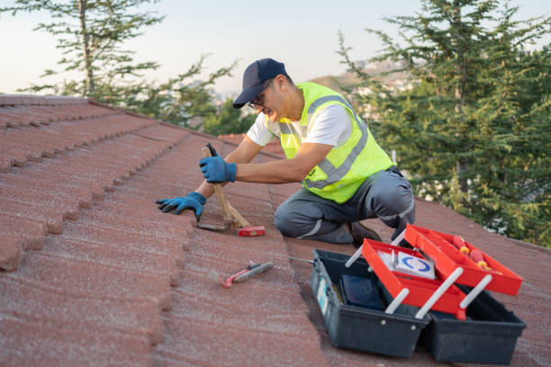 Best Storm Damage Roof Repair  in Elk Creek, KY