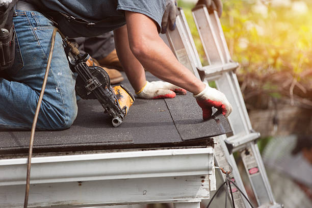 Best Roof Gutter Cleaning  in Elk Creek, KY
